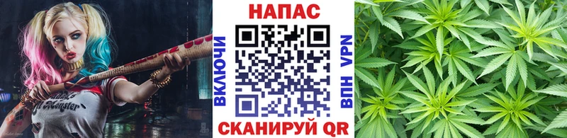 Канабис AK-47  Купить  Азов 